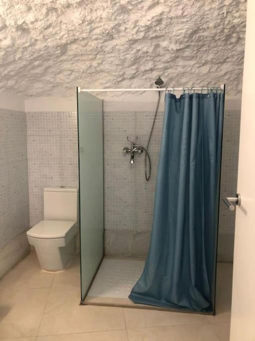 Authentic Cave In Old City Centre Apartment Granada Luaran gambar